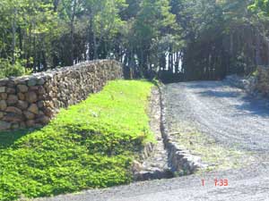 The entrance road reaches El Bosque from the paved Sabalito to Tierras Morenas road.